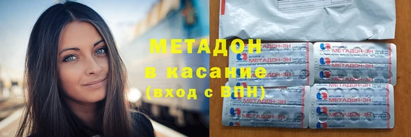 стаф Алексин