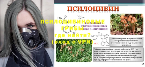 ПСИЛОЦИБИНОВЫЕ ГРИБЫ Алексеевка