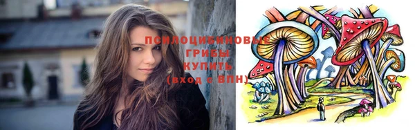 ПСИЛОЦИБИНОВЫЕ ГРИБЫ Алексеевка